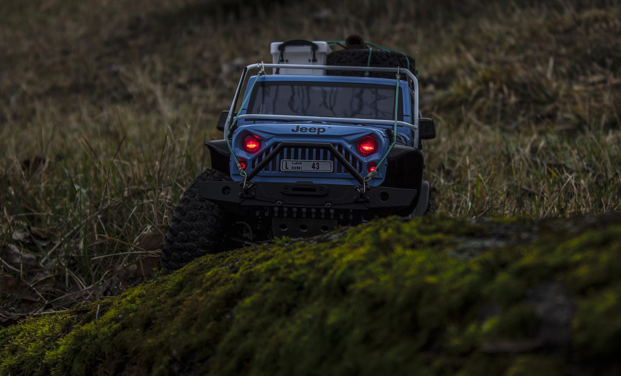 Jeep Wrangler трофи